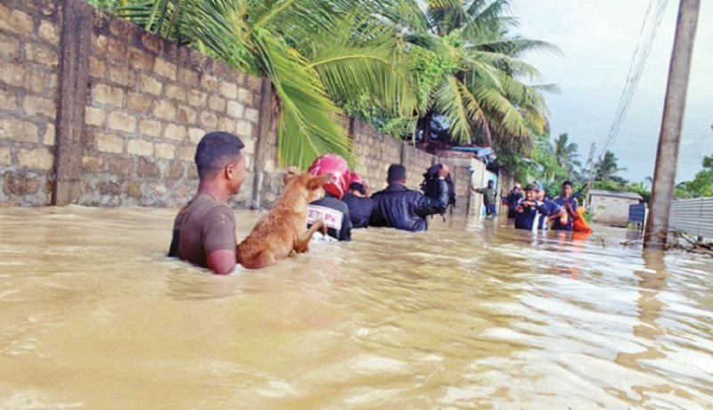 More than 30000 families affected due to the heavy rain