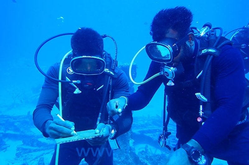 Diving into the depths where ocean whispers of history
