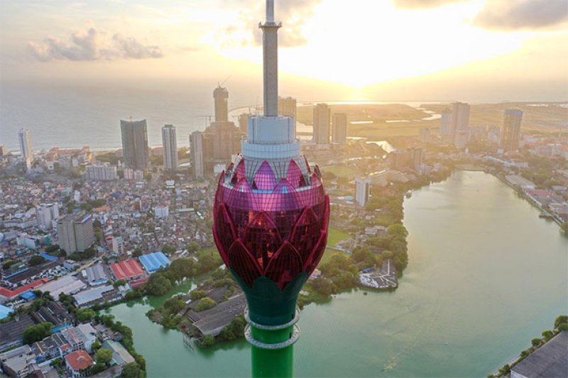 Tragic Incident at  Lotus Tower: Student Falls to Death