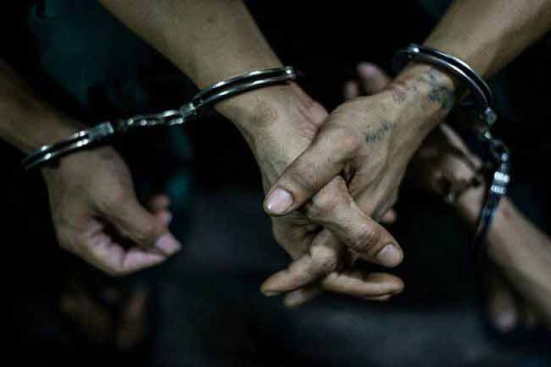 &lsquo;Ratmalana Saima&rsquo; and two others brought back to Sri Lanka 