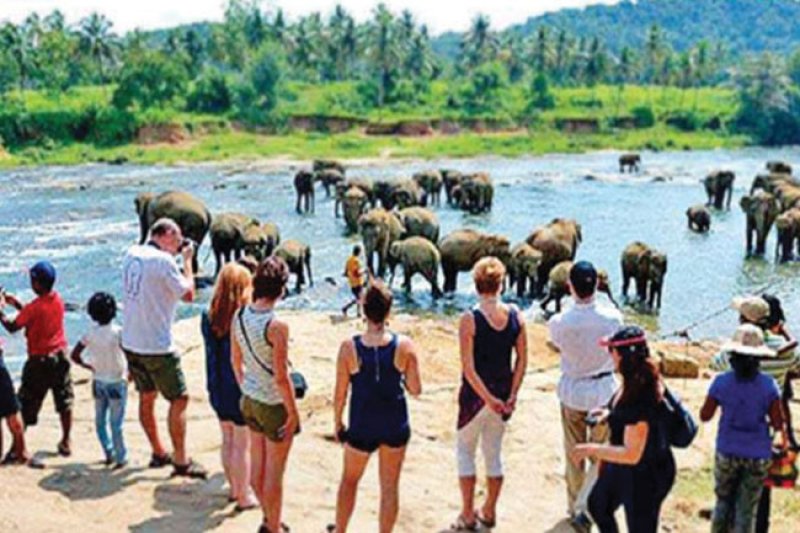 Sri Lanka Nears 2024 Tourism Goal with Strong Growth