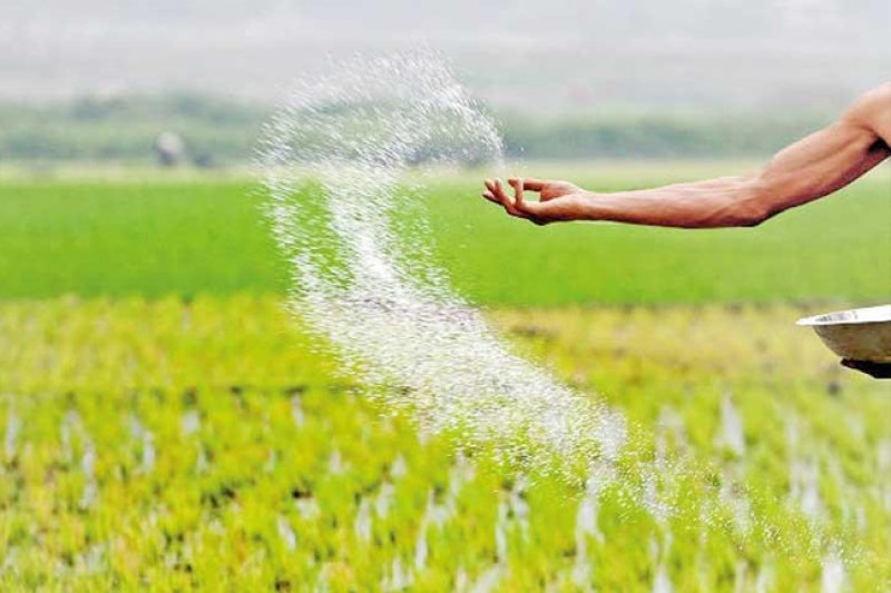 First Phase of Fertilizer Subsidy for Maha Season Concludes