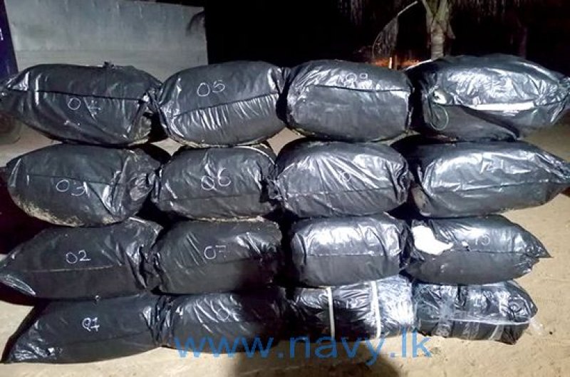 Navy recovers Tendu leaves in Mampuri sea area of Kalpitiya