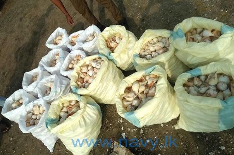 Person held in Mannar for illegal possession of conch shells