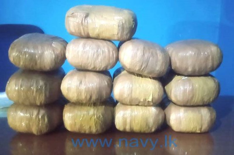 Navy arrests suspect with Kerala cannabis in Welioya