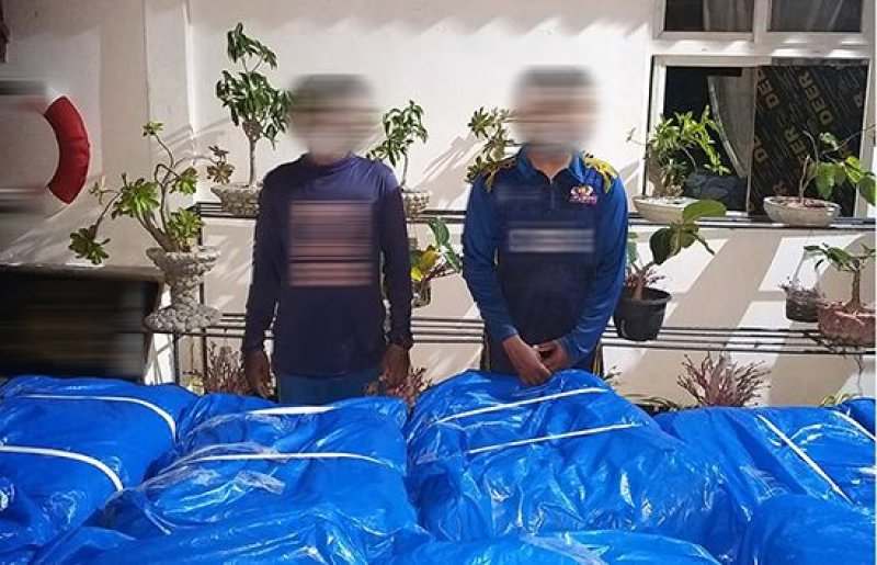 Over 617kg of smuggled Tendu leaves held  inUchchamunai