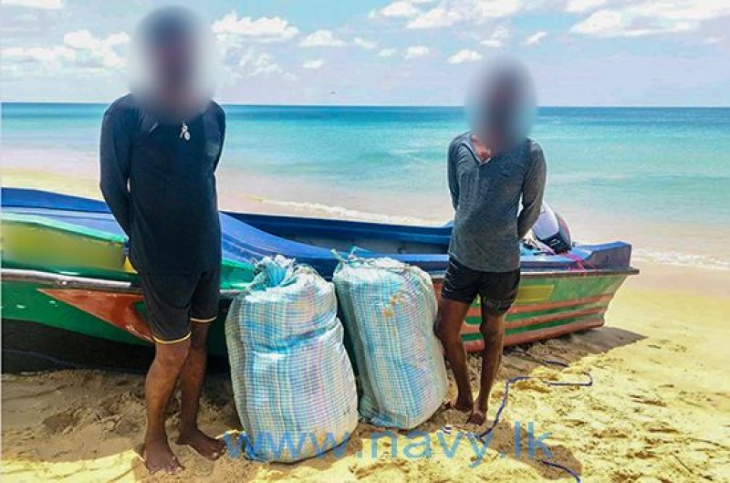Navy arrests two suspects with Kerala cannabis 
