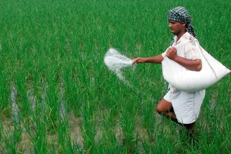 Fertilizer Subsidy Distribution Begins Today
