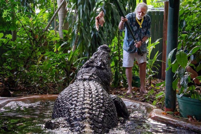 World's Largest Captive Crocodile, Dies In Australia