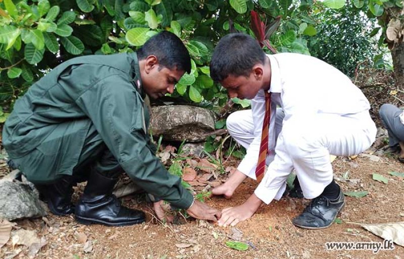 SL Light Infantry Plants 500 Trees at Palugama