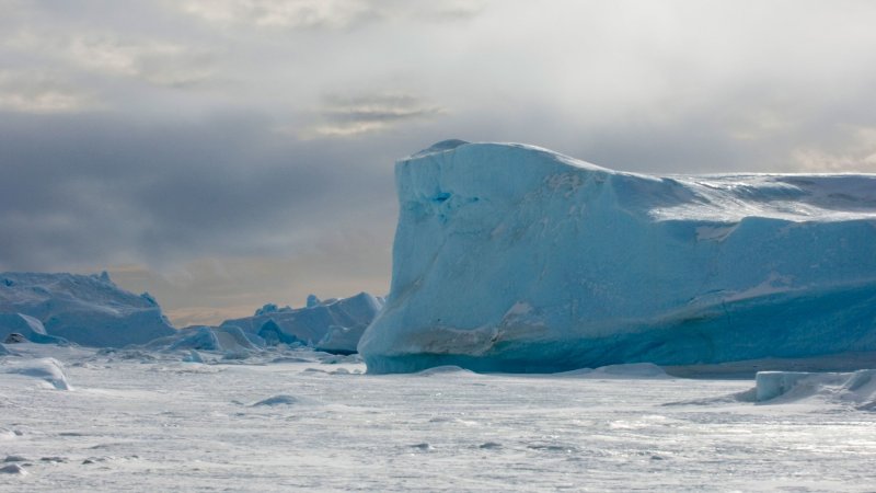 Antarctic sea-ice at &lsquo;mind-blowing&rsquo; low alarms experts