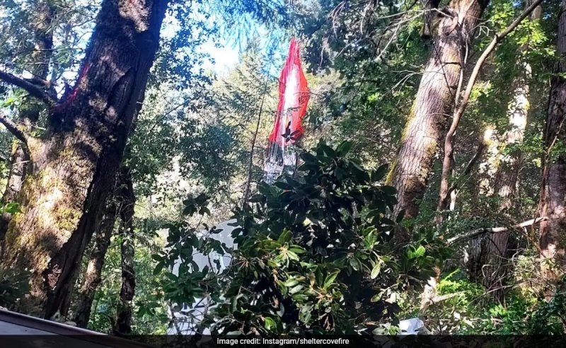 US Family Survives Plane Crash By Using Parachute
