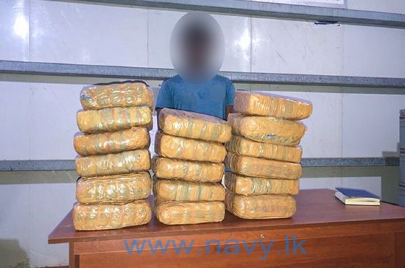 Kerala cannabis unearthed from garden in Jaffna