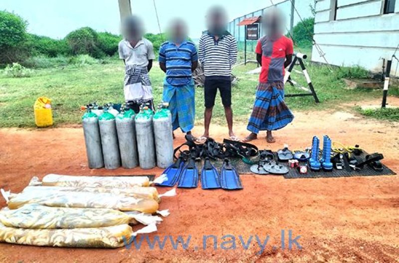 Navy apprehends 05 persons transporting sea cucumber
