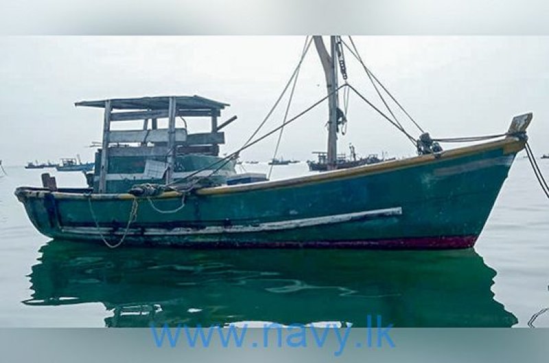 13 persons nabbed for illegal harvesting of sea cucumbers