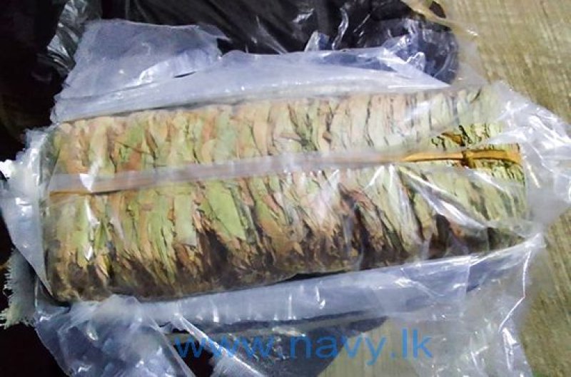 407 kg of smuggled Tendu leaves seized in Kalpitiya