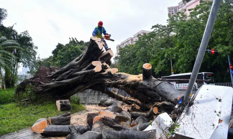 Typhoon Saola makes landfall in southern China 