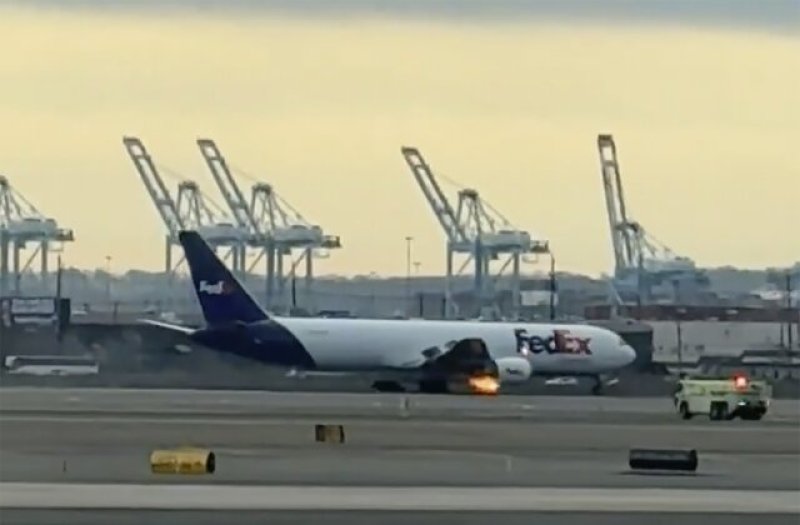 Cargo plane makes emergency landing following bird strike