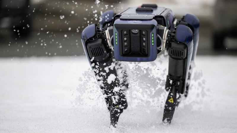 Robot to patrol Alaska airport to prevent bird strikes