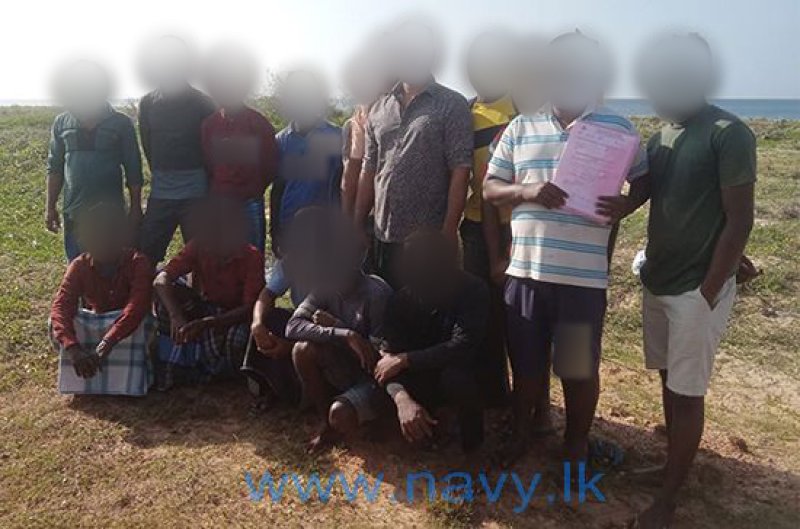 Navy arrested 16 for illegal transportation of sea cucumber