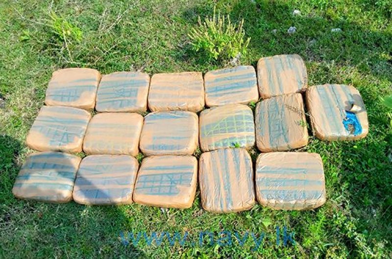 Navy finds Kerala cannabis valued over Rs. 13 million 