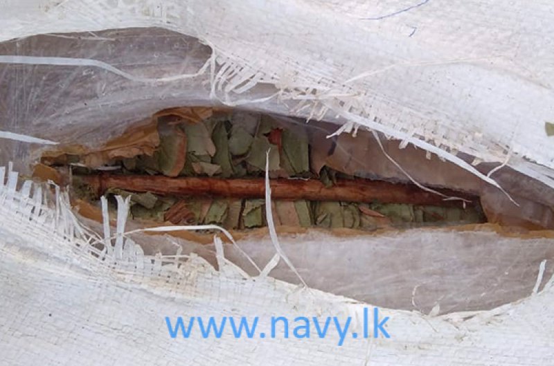 120kg of smuggled Tendu leaves seized in Kalpitiya