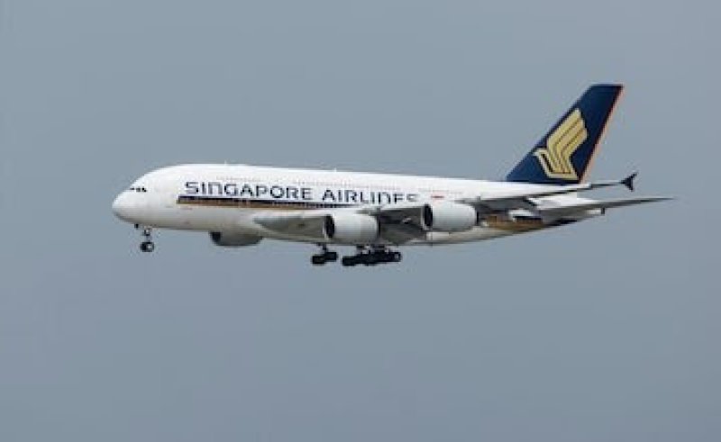 New Zealand couple received $1,410 from Singapore Airlines 