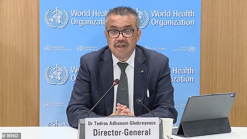 WHO approves second malaria vaccine for children