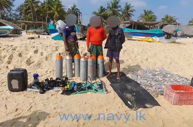 Navy nabs 09 persons for illegal night diving