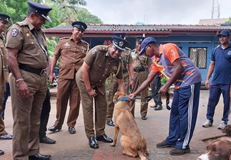 Sri Lanka acquires 35 sniffer dogs from Netherlands 