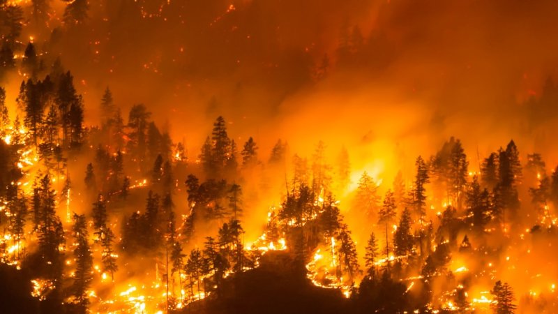 Canada Town Near Vancouver Ready To Evacuate As Fire Nears