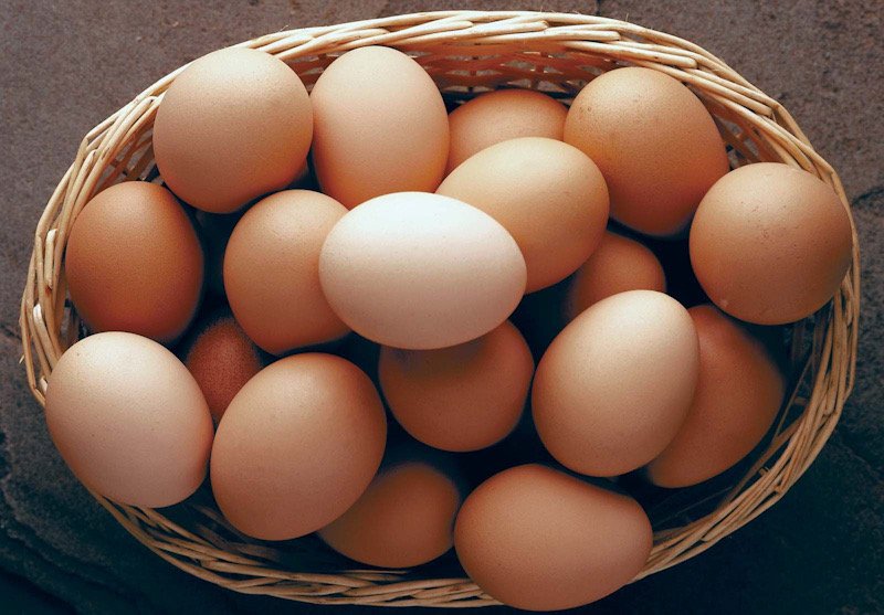 Sri Lanka gears up for 15 Million imported eggs