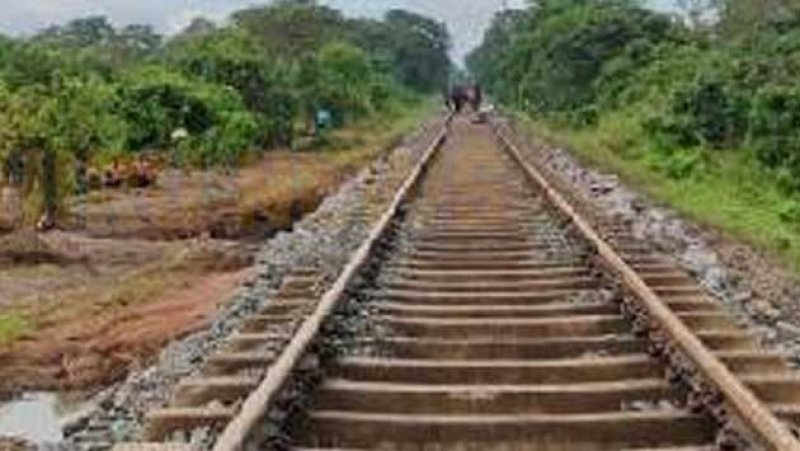 Reconstruction of Maho-Omantha railway line begins