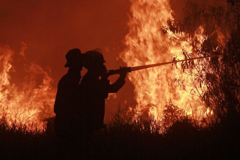 Toxic smoke from wildfires killed 3,560 people in Indonesia 