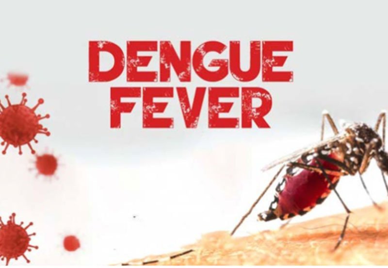 Dengue cases in Sri Lanka surpass 70,000