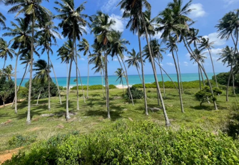 Sri Lanka to release lands worth Rs 10 billion to investors