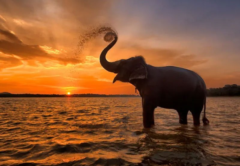 Sri Lanka among 2024's fastest growing tourism destinations