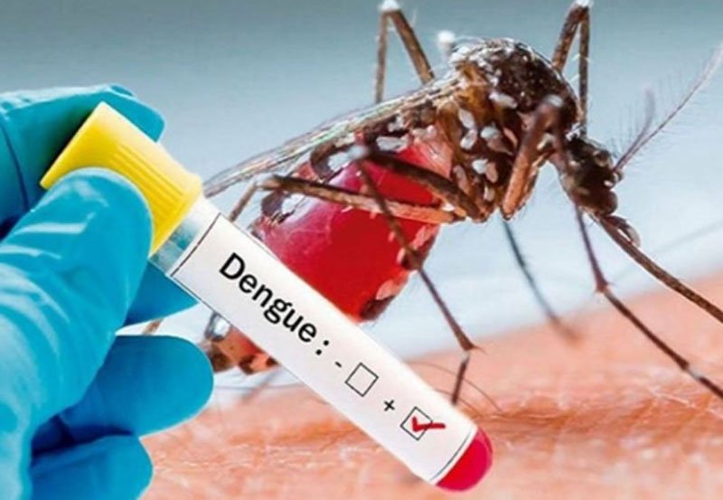 Over 25,000 dengue infections so far in 2024