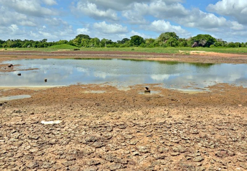 Over 10,000 lakes in Sri Lanka completely dried up