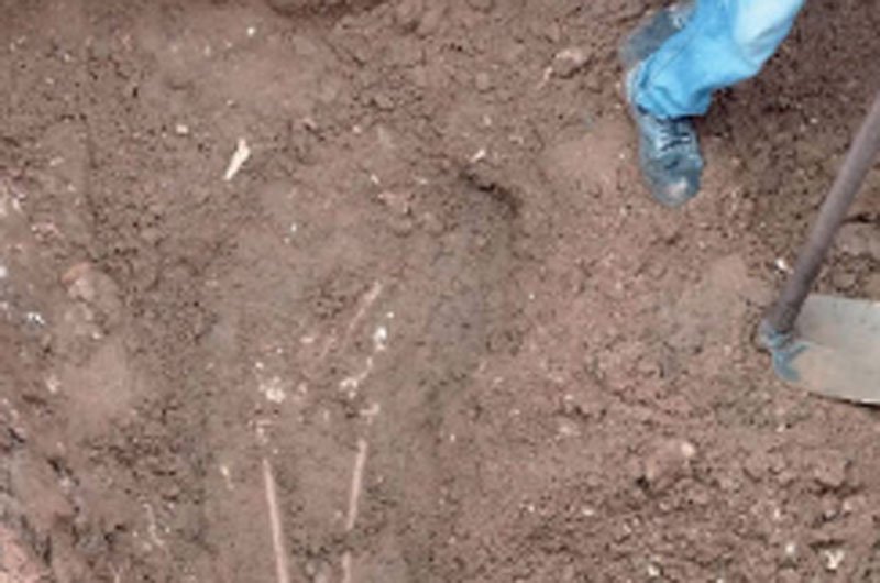 Probe launched on decapitated skeleton at Colombo Port  