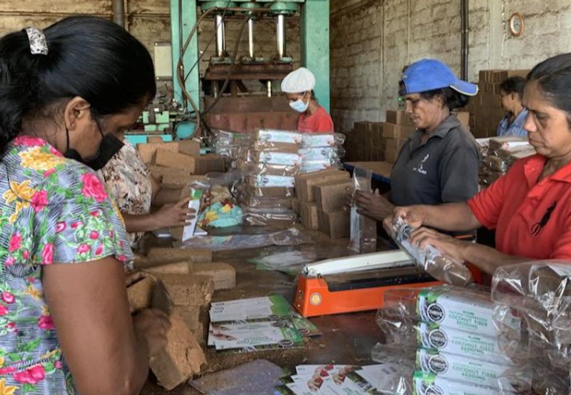 ADB approves USD 100 Mn loan to support SMEs in Sri Lanka