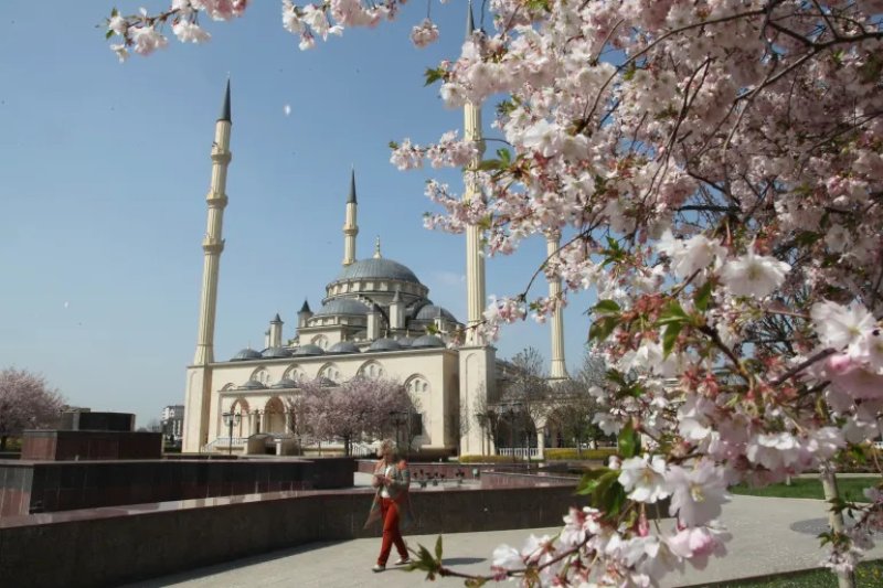 Russia to launch Islamic banking: All you need to know