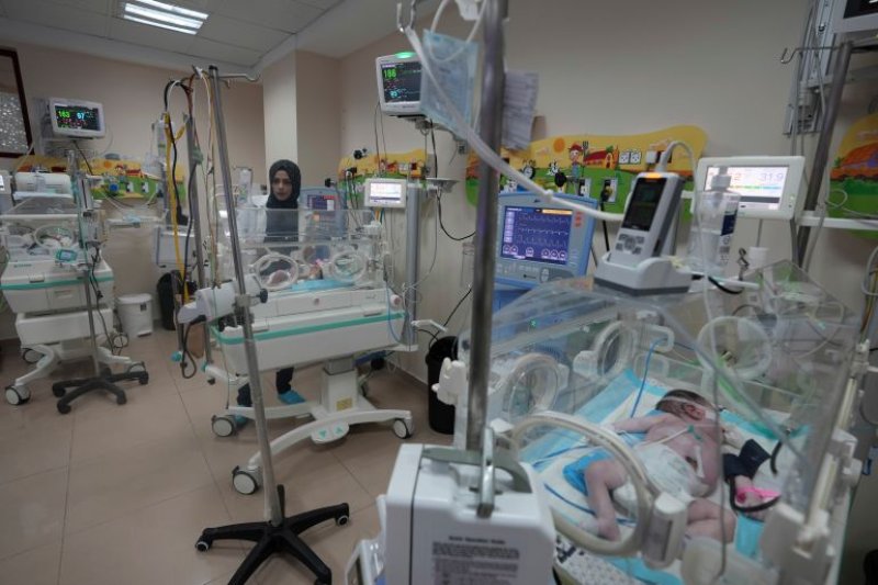 Two premature babies die, 37 under threat at Gaza hospital