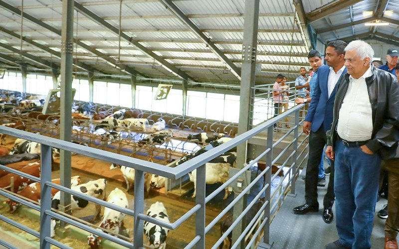 President Visits Ambewela Dairy Farm
