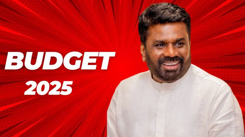 President to deliver 2025 budget speech in parliament  today