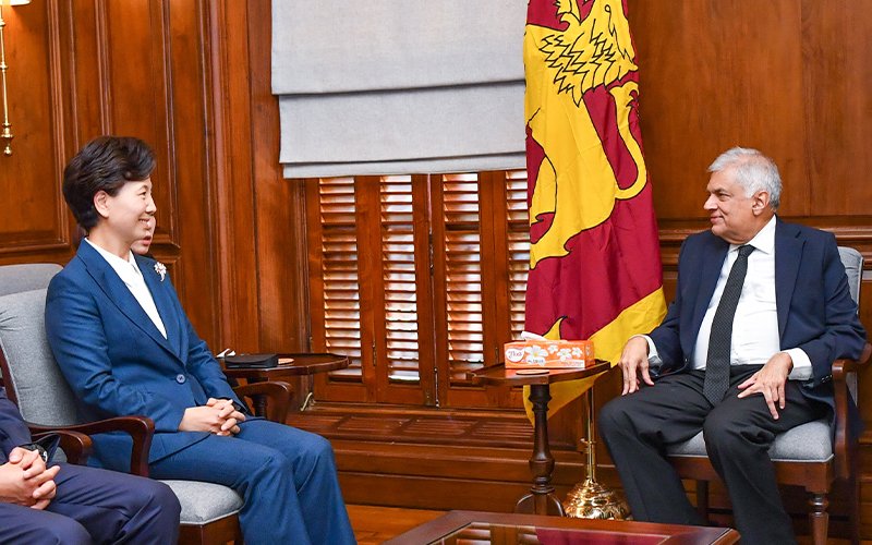 Courtesy call between Chinese State Councillor &amp; President 