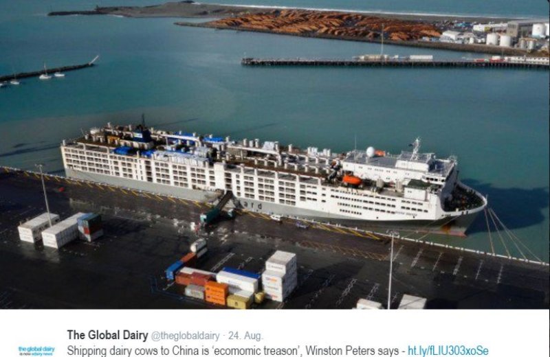 Ship carrying 19,000 cattle causes big stink in Cape Town
