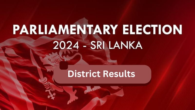 General Election 2024: District Results