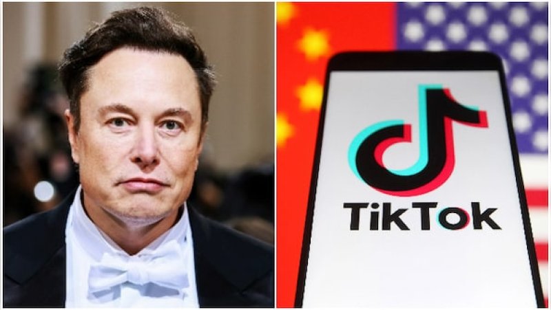 TikTok says report of possible sale to Musk 'pure fiction'