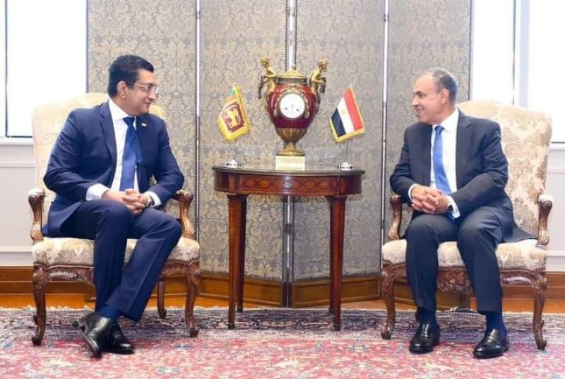 Minister Ali Sabry meets Egypt&rsquo;s Minister of Foreign Affairs